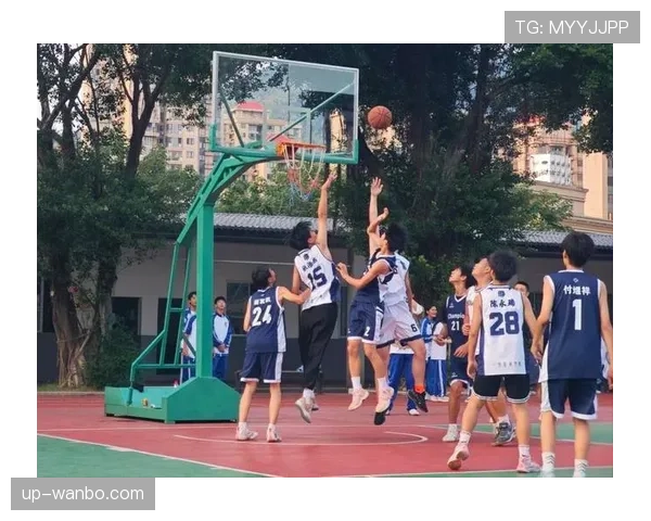 篮球比赛中同时出界判定的规则依据与具体执行标准详解