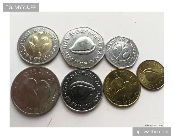 加纳L组赛程难度解析